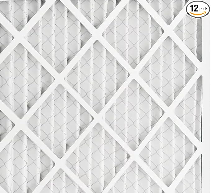 BNX TruFilter 16x24x1 Air Filter MERV 11 (12-Pack) - MADE IN USA - Allergen Defense Electrostatic Pleated Air Conditioner HVAC AC Furnace Filters for Allergies, Dust, Smoke, Allergy MPR 1200 FPR 7