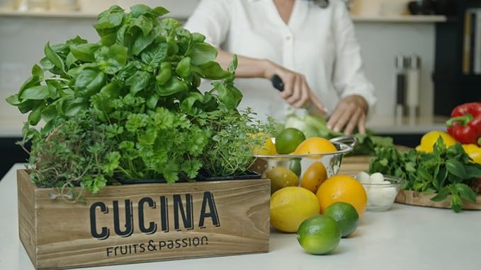 Cucina Fruits & Passion Hand Soap Refill – 1 Liter (33.8 oz) Lime Zest and Cypress – Purifying All Natural Kitchen Hand Soap with Olive Oil – Vegan and Moisturizing Formula
