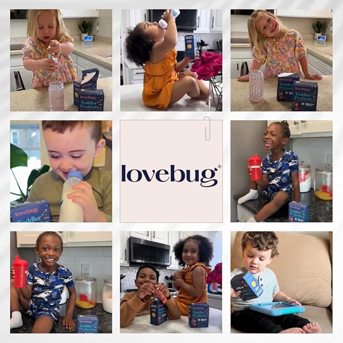 Lovebug Award Winning USDA Organic Probiotic for Toddlers & Kids | Multi-Strain 15 Billion CFU | Easy-to-Take Powder | Sugar Free | Ages 12 Months to 4 Years | 30 Count (Pack of 1)