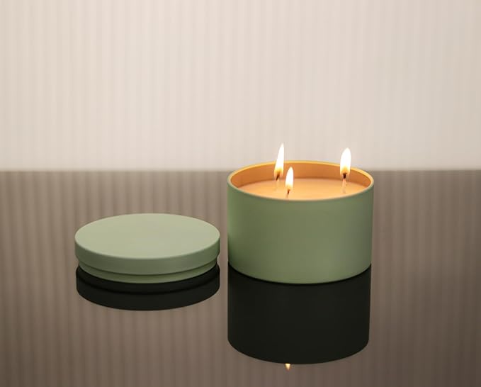 Aroparc Candle Tins 8oz with Lids, 24 Pack Seamless Bulk Candle Containers for Candle Making Supplies Empty Candle Jars - Mint