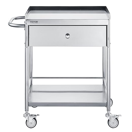 VEVOR Medical Cart, 2-Layer Stainless Steel Cart 220 lbs Weight Capacity, Lab Utility Cart with 360° Silent Wheels and a Drawer for Lab, Clinic, Kitchen, Salon, 141002