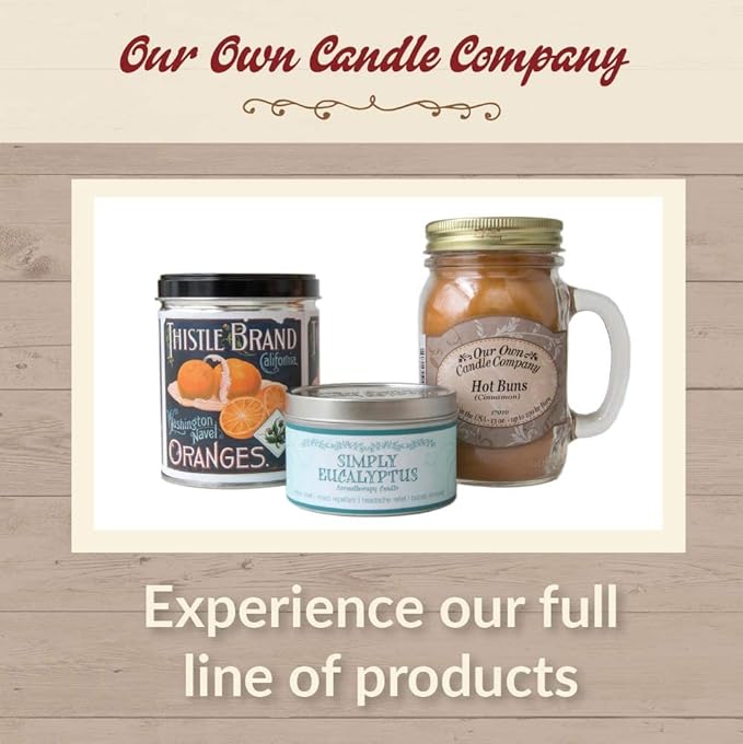 Our Own Candle Company Premium Wax Melt, The Beach, Coconut Lime, Himalayan Sea Salt, and Raspberry Lemonade, Summer Variety Pack, 6 Cubes, 2.4 oz (4 Pack)