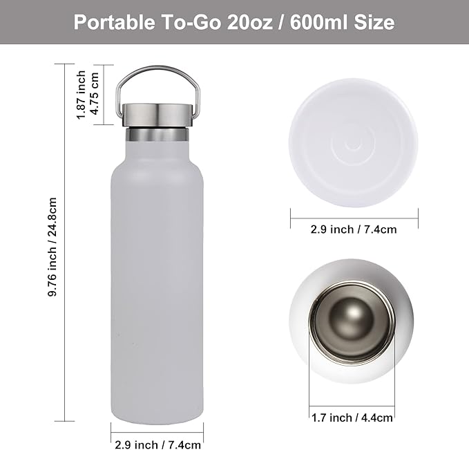 Neihepal 20 oz Insulated Water Bottles Bulk 2 Pack,Stainless Steel Double Wall Sport Bottle with Lid of Handle,Metal Reusable Thermoses Flask for School,Cyclists,Hikers,Gift (Mix,Set of 2)