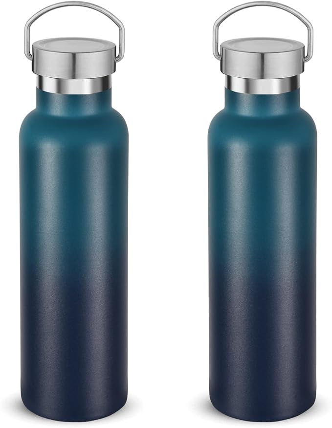 Neihepal 20 oz Insulated Water Bottles Bulk 2 Pack,Stainless Steel Double Wall Sport Bottle with Lid of Handle,Metal Reusable Thermoses Flask for School,Cyclists,Hikers,Gift (Dark Night,Set of 2)