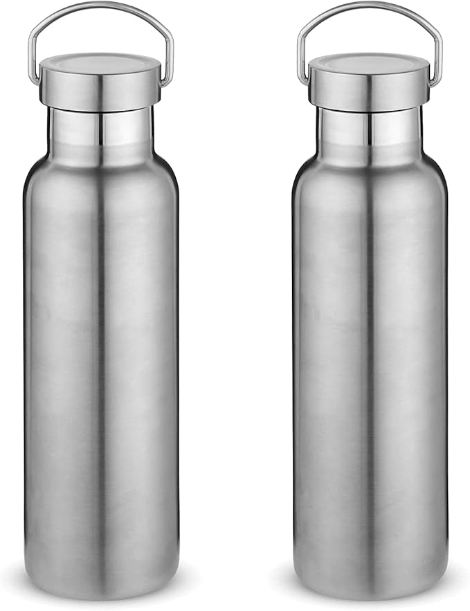 Neihepal 20 oz Insulated Water Bottles Bulk 2 Pack,Stainless Steel Double Wall Sport Bottle with Lid of Handle,Metal Reusable Thermoses Flask with Cup Cap for School,Cyclists,Gift (Silver,Set of 2)