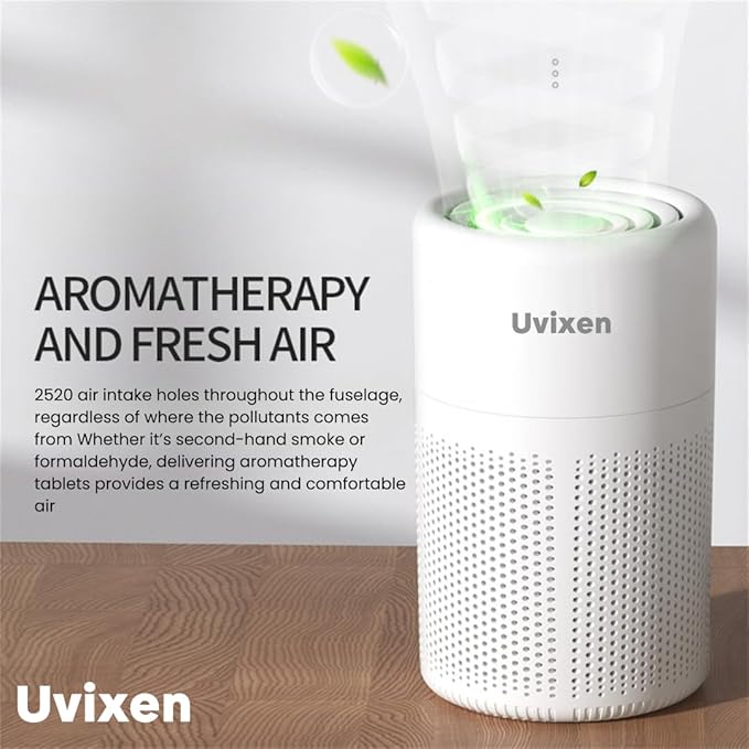 Air Purifiers for Home - Mini Air Purifier with HEPA Air Filter- USB Operated Air Purifier for Bedroom, Car and Living Room