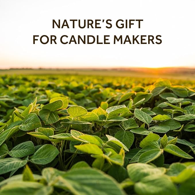NORVENCE Soy Wax for Candle Making, Natural Soy Wax Flakes 10lb, Premium Candle Wax for DIY Candle Crafting