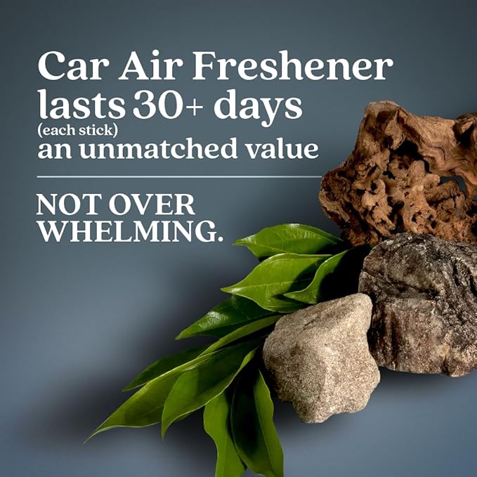 Enviroscent Non-Toxic Car Air Freshener (Coastal Storm & Teakwood) Natural Car Air Freshener | Essential Oil Diffuser | Car Scent Lasting Over 180 Days | 3 Packs of 2 Hanging Auto Stix