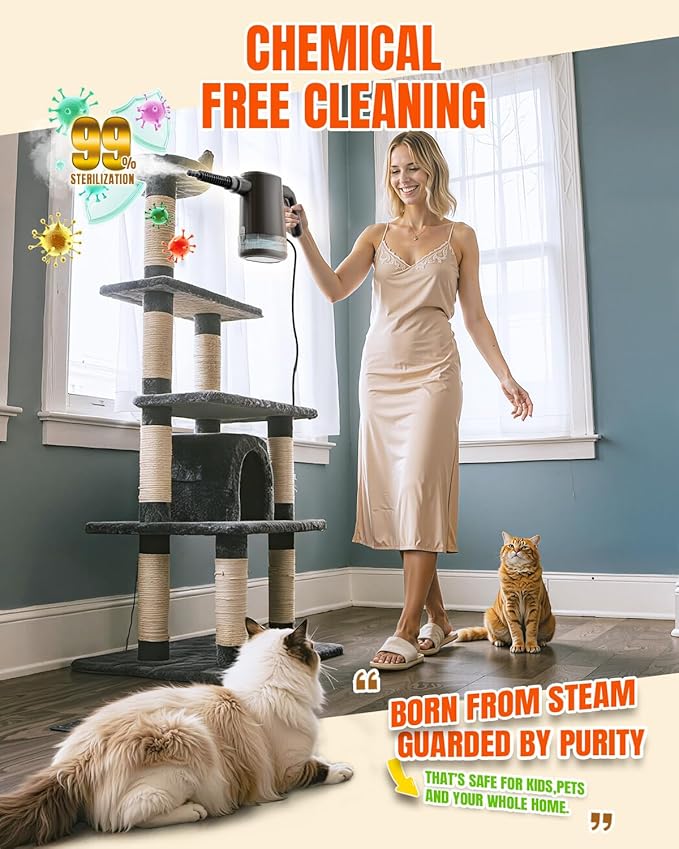 Handheld Steam Cleaner for Home, Portable Steamer Cleaner with 12 Accessories, 15S Fast Heat Up, Steam Adjustable, Steamer for Cleaning Grout, Floor, Kitchen, Bathroom, Windows, Black
