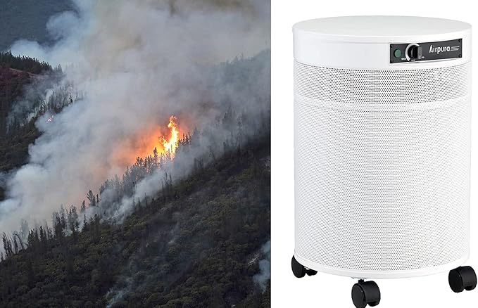 Airpura V600 Air Purifier for Home, V600 True HEPA Filter, Helps to eliminate thousands of airborne particles from air