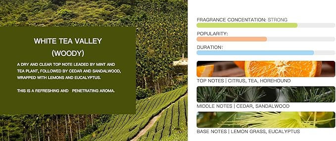 Tesla Model 3 and Model Y Air Freshener - Invisible Slim Design - Lasts 3+ Weeks - Aromatherapy Scent - Auto Odor Eliminator (White Tea Valley Refills ONLY)