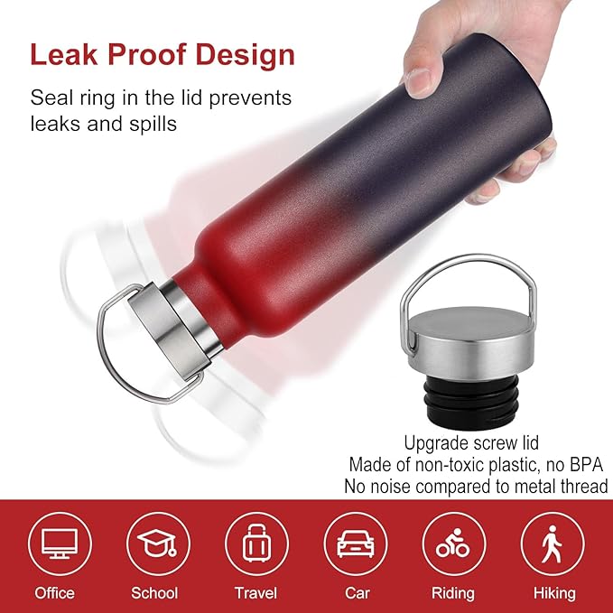 Neihepal 20 oz Insulated Water Bottles Bulk 4 Pack,Stainless Steel Double Wall Sport Bottle with Lid of Handle,Metal Reusable Thermoses Flask for School,Cyclists,Hikers,Gift (Assorted,Set of 4)