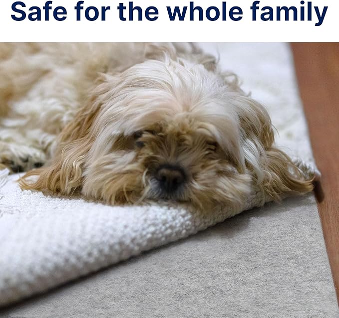 RUGPADUSA - Eco-Plush - 9' Square - 3/8" Thick - 100% Felt - Extra Cushioned Rug Pad - Available in 3 Thicknesses, Many Custom Sizes