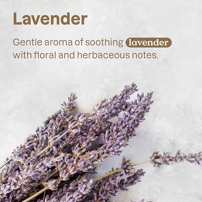 ATTITUDE Fabric Refresher for Pets, Neutralizes Odors, Plant and Mineral-Based Ingredients, Vegan and Cruelty-free, Lavender, 16 Fl Oz