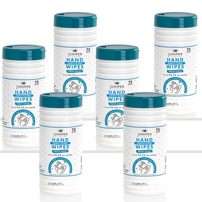 6 Pack Canister Hand Sanitizing Wipes, Alcohol Free 450 Count Canister Disposable Hand Sanitizer Wipes, Fresh Scent, Lint Free & Durable