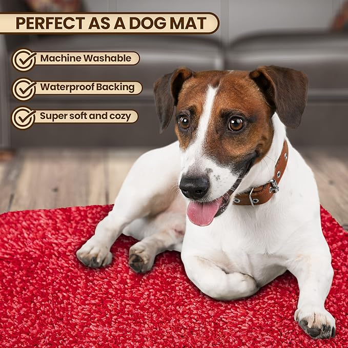 Premium Microfiber Indoor Door Mat – 24"x36" Washable Entry Mat, Non-Slip, Waterproof Backing, Super Absorbent, Low Profile Entryway Doormat for Indoor Entrance
