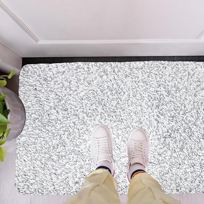 Premium Microfiber Indoor Door Mat – 32"x48" Washable Entry Mat, Non-Slip, Waterproof Backing, Super Absorbent, Low Profile Entryway Doormat for Indoor Entrance