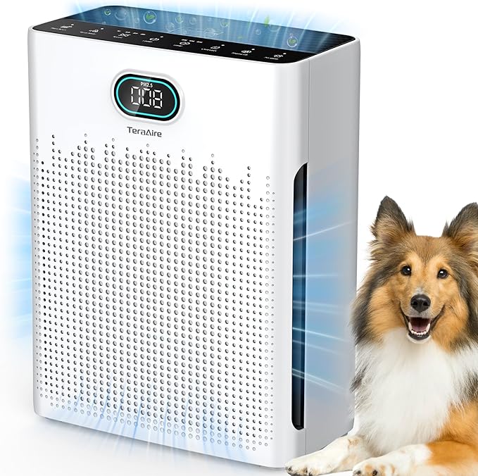 Air Purifiers for Home, PM 2.5 Air Quality Monitor Cover Up to 2200 Ft² with Pet mode, Timer, HEPA Air Purifier with Washable Pre-filter, Fragrance Sponge for Smoke, Odor, Dander, Pollen (Black)